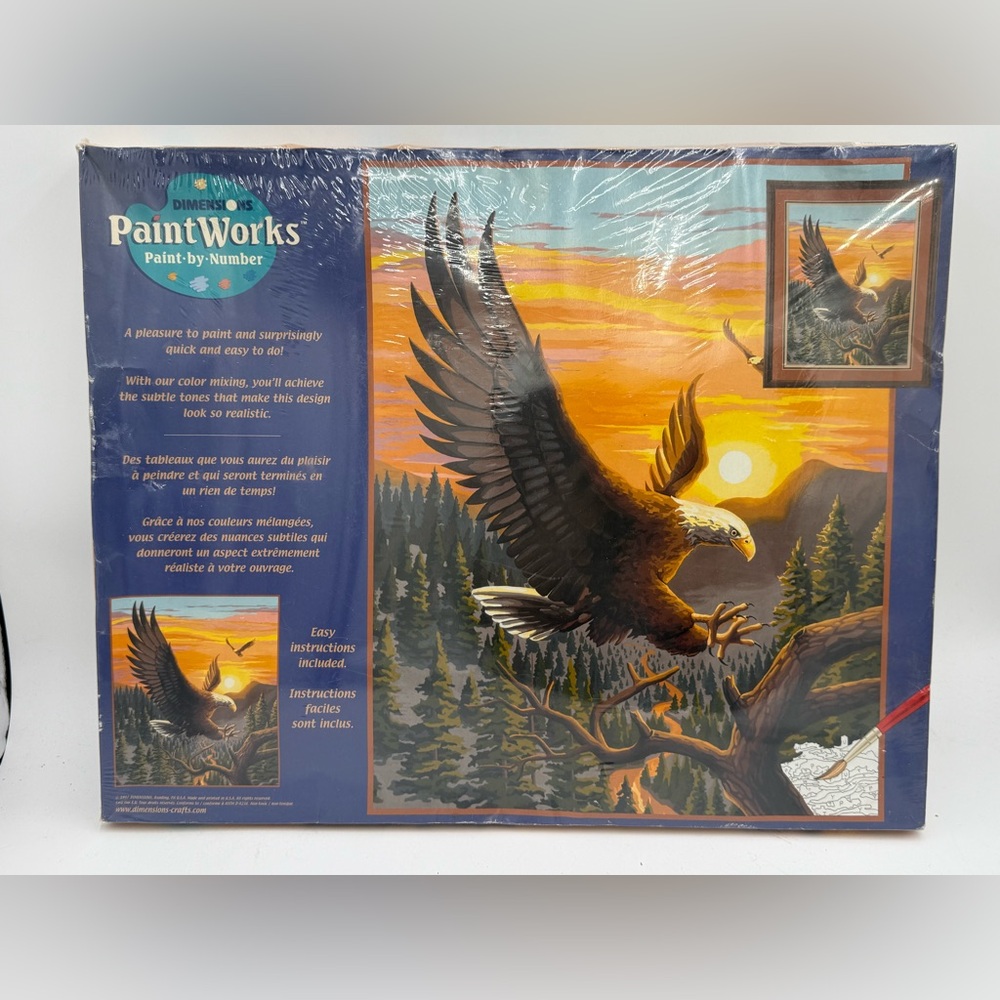 1997 EAGLE AIGLE DIMENSIONS PAINTWORKS PAINT BY NUMBER KIT 91017